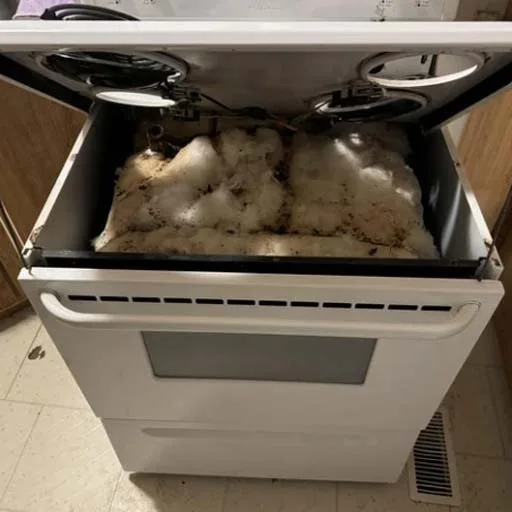 Electric cooker with the top lifted and the insulation exposed during a repair
