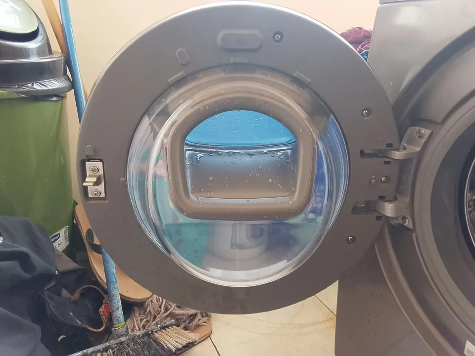 Washing machine door seal