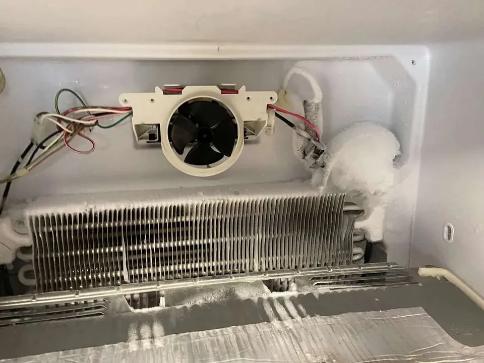 Fridge evaporator fan motor